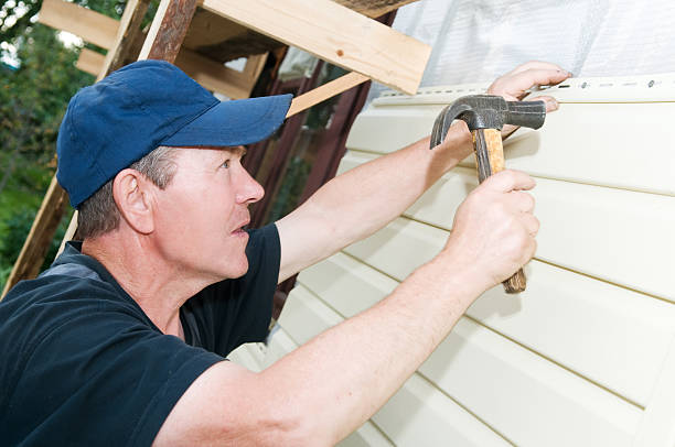 Best Steel Siding Installation  in Martin, TN