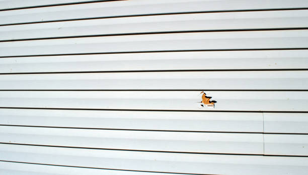 Best Custom Siding Design  in Martin, TN